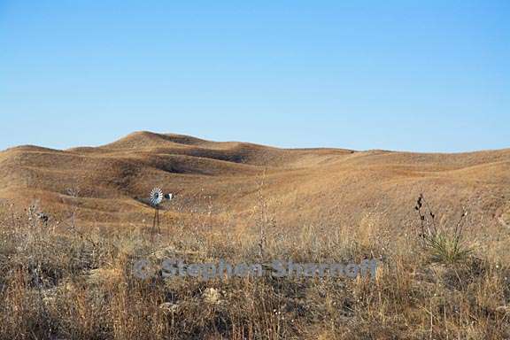 sandhills graphic